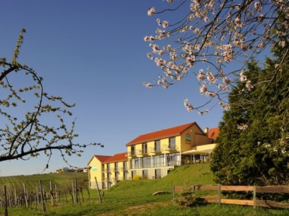 Фото: Wohlf&amp;uuml;hlhotel Alte Rebschule